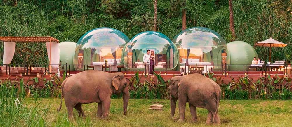 Campo de elefantes en el Triángulo Dorado