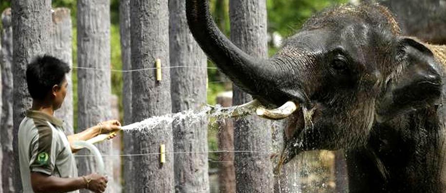Tailandia calor verano estación